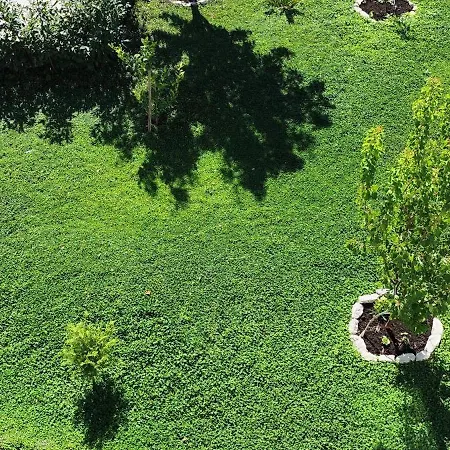 La Harmony Garden With Jacuzzi *